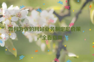 如何為你的網(wǎng)站業(yè)務(wù)制定定價策略，全面指南