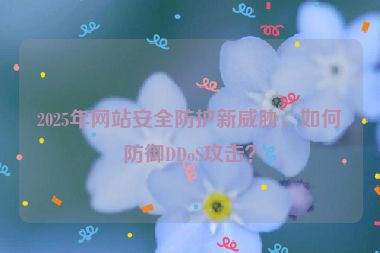 2025年網(wǎng)站安全防護(hù)新威脅，如何防御DDoS攻擊？