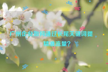 廣州企業(yè)如何通過長尾關(guān)鍵詞提升精準流量？