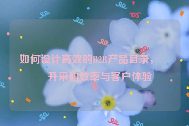 如何設計高效的B2B產(chǎn)品目錄，提升采購效率與客戶體驗