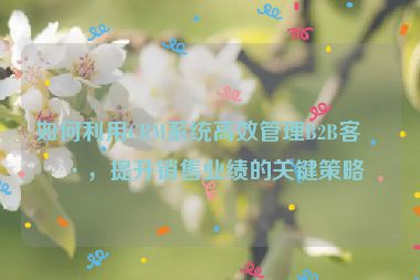 如何利用CRM系統(tǒng)高效管理B2B客戶，提升銷售業(yè)績的關鍵策略