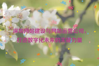 深圳網(wǎng)站建設(shè)與網(wǎng)站運營公司，打造數(shù)字化未來的關(guān)鍵力量