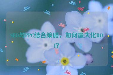 SEO與PPC結(jié)合策略，如何最大化ROI？