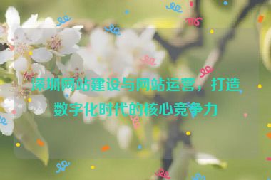 深圳網(wǎng)站建設(shè)與網(wǎng)站運(yùn)營(yíng)，打造數(shù)字化時(shí)代的核心競(jìng)爭(zhēng)力