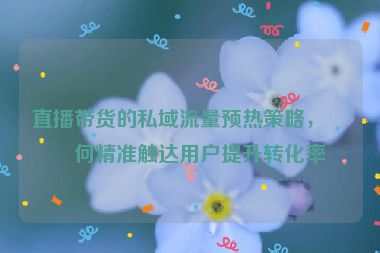 直播帶貨的私域流量預熱策略，如何精準觸達用戶提升轉(zhuǎn)化率