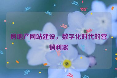 房地產(chǎn)網(wǎng)站建設(shè)，數(shù)字化時(shí)代的營銷利器