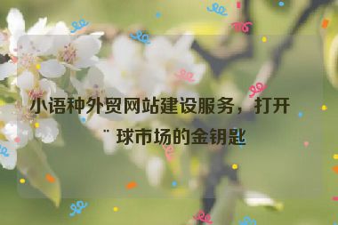 小語(yǔ)種外貿(mào)網(wǎng)站建設(shè)服務(wù)，打開全球市場(chǎng)的金鑰匙
