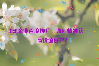 B2B企業(yè)百度推廣，如何精準(zhǔn)獲取高價值客戶？