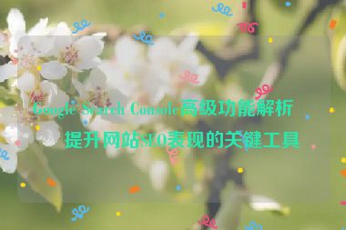 Google Search Console高級功能解析，提升網(wǎng)站SEO表現(xiàn)的關(guān)鍵工具