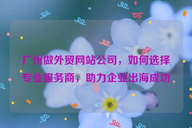 廣州做外貿(mào)網(wǎng)站公司，如何選擇專業(yè)服務(wù)商，助力企業(yè)出海成功