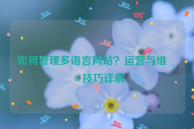 如何管理多語言網(wǎng)站？運營與維護技巧詳解