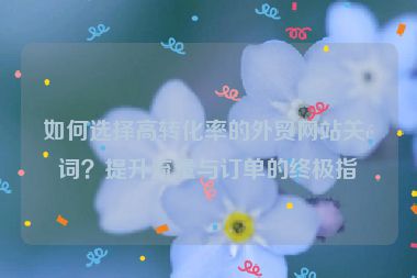 如何選擇高轉(zhuǎn)化率的外貿(mào)網(wǎng)站關(guān)鍵詞？提升流量與訂單的終極指南