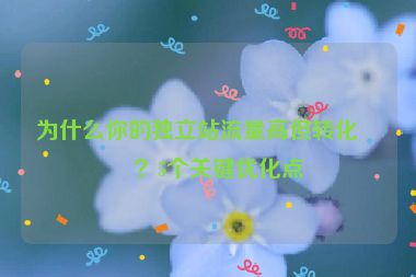 為什么你的獨(dú)立站流量高但轉(zhuǎn)化低？5個關(guān)鍵優(yōu)化點(diǎn)