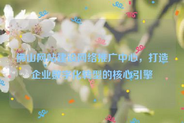 佛山網(wǎng)站建設(shè)網(wǎng)絡(luò)推廣中心，打造企業(yè)數(shù)字化轉(zhuǎn)型的核心引擎