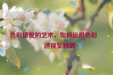 色彩搭配的藝術(shù)，如何運(yùn)用色彩創(chuàng)造視覺和諧