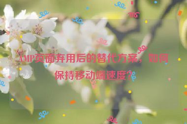 AMP頁面棄用后的替代方案，如何保持移動端速度？