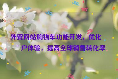 外貿(mào)網(wǎng)站購(gòu)物車功能開發(fā)，優(yōu)化用戶體驗(yàn)，提高全球銷售轉(zhuǎn)化率