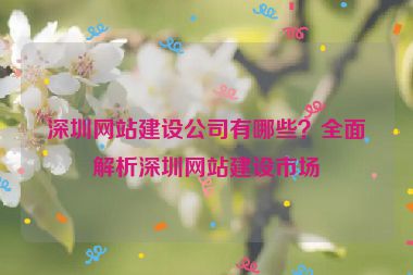 深圳網(wǎng)站建設(shè)公司有哪些？全面解析深圳網(wǎng)站建設(shè)市場(chǎng)
