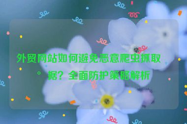 外貿(mào)網(wǎng)站如何避免惡意爬蟲抓取數(shù)據(jù)？全面防護(hù)策略解析