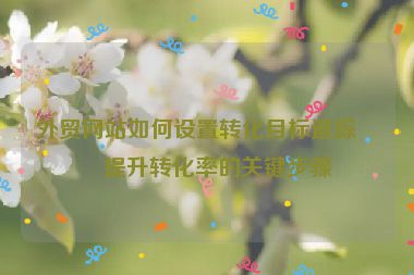 外貿(mào)網(wǎng)站如何設(shè)置轉(zhuǎn)化目標(biāo)追蹤？提升轉(zhuǎn)化率的關(guān)鍵步驟