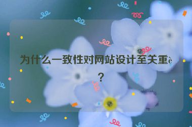 為什么一致性對網(wǎng)站設計至關重要？