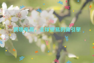 跨境電商，全球貿(mào)易的新引擎