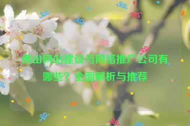 佛山網(wǎng)站建設(shè)與網(wǎng)絡(luò)推廣公司有哪些？全面解析與推薦