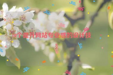 10個提升網(wǎng)站專業(yè)感的設計技巧
