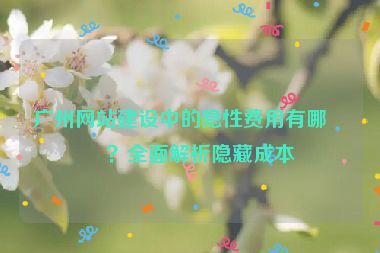 廣州網(wǎng)站建設(shè)中的隱性費(fèi)用有哪些？全面解析隱藏成本