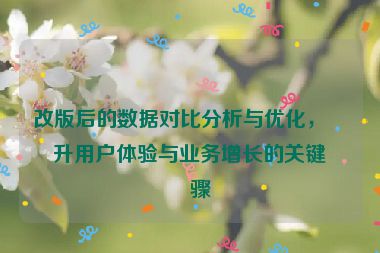 改版后的數(shù)據(jù)對比分析與優(yōu)化，提升用戶體驗與業(yè)務(wù)增長的關(guān)鍵步驟