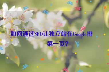 如何通過SEO讓獨(dú)立站在Google排名第一頁？