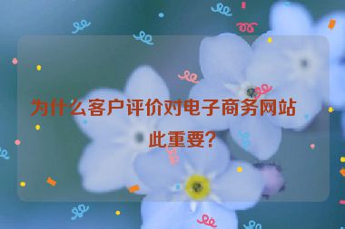 為什么客戶評價對電子商務(wù)網(wǎng)站如此重要？