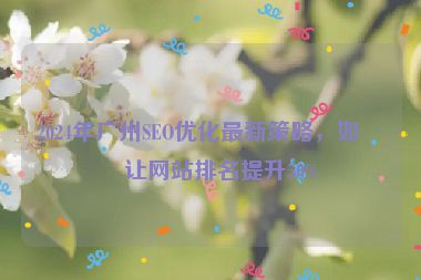 2024年廣州SEO優(yōu)化最新策略，如何讓網(wǎng)站排名提升50%
