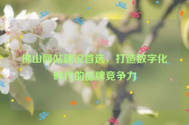 佛山網(wǎng)站建設(shè)首選，打造數(shù)字化時(shí)代的品牌競(jìng)爭(zhēng)力
