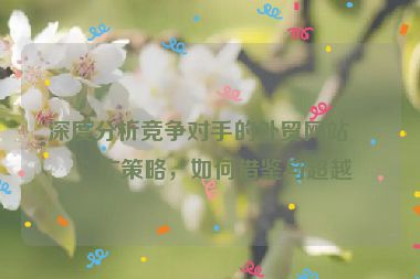 深度分析競(jìng)爭(zhēng)對(duì)手的外貿(mào)網(wǎng)站推廣策略，如何借鑒與超越