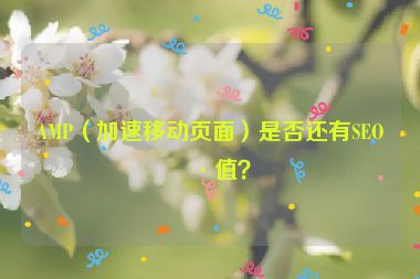 AMP（加速移動頁面）是否還有SEO價值？