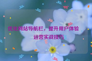 優(yōu)化網(wǎng)站導(dǎo)航欄，提升用戶體驗(yàn)，運(yùn)營實(shí)戰(zhàn)技巧
