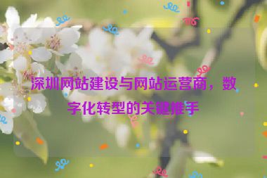 深圳網(wǎng)站建設(shè)與網(wǎng)站運營商，數(shù)字化轉(zhuǎn)型的關(guān)鍵推手