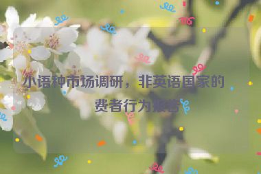 小語種市場調(diào)研，非英語國家的消費者行為報告