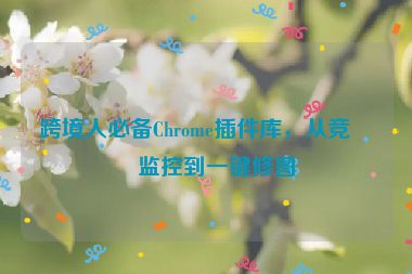 跨境人必備Chrome插件庫，從競品監(jiān)控到一鍵修圖