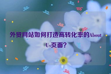 外貿(mào)網(wǎng)站如何打造高轉化率的About Us頁面？