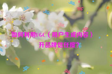 如何利用UGC（用戶生成內(nèi)容）提升品牌信任度？