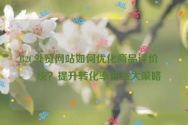 B2C外貿(mào)網(wǎng)站如何優(yōu)化商品評(píng)價(jià)系統(tǒng)？提升轉(zhuǎn)化率的五大策略