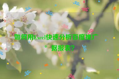 如何用Excel快速分析百度推廣數(shù)據(jù)報表？