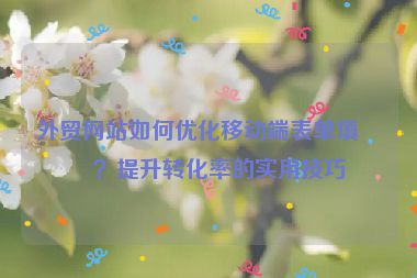 外貿(mào)網(wǎng)站如何優(yōu)化移動(dòng)端表單填寫？提升轉(zhuǎn)化率的實(shí)用技巧