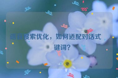 語音搜索優(yōu)化，如何適配對話式關鍵詞？