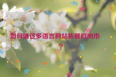 如何通過(guò)多語(yǔ)言網(wǎng)站拓展歐洲市場(chǎng)？