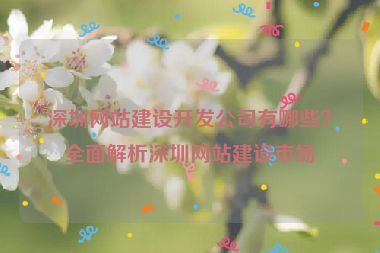 深圳網(wǎng)站建設(shè)開(kāi)發(fā)公司有哪些？全面解析深圳網(wǎng)站建設(shè)市場(chǎng)