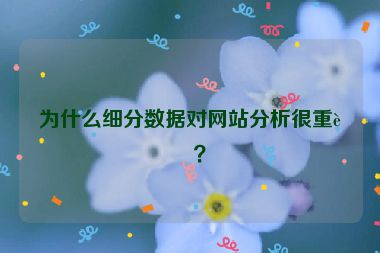 為什么細(xì)分?jǐn)?shù)據(jù)對網(wǎng)站分析很重要？