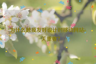 為什么觸摸友好設(shè)計對移動網(wǎng)站至關(guān)重要？